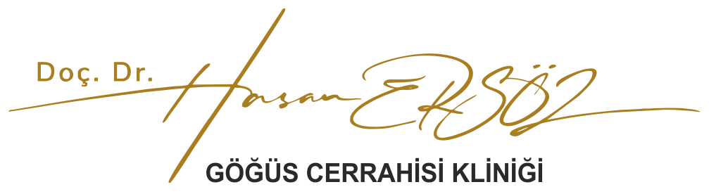 hasan-ersöz-logo
